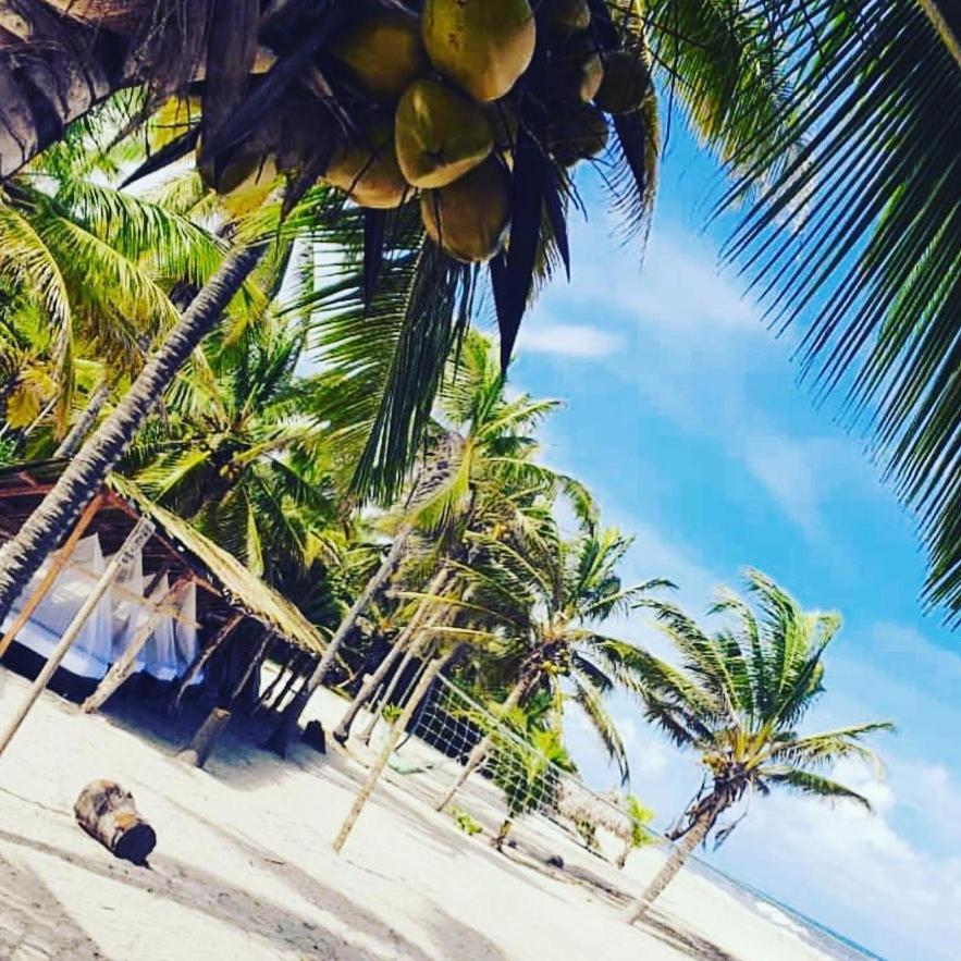 Bed and Breakfast Camping Castilletes Parque Tayrona Ель-Зайно Екстер'єр фото