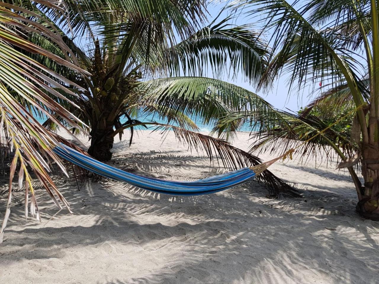 Bed and Breakfast Camping Castilletes Parque Tayrona Ель-Зайно Екстер'єр фото
